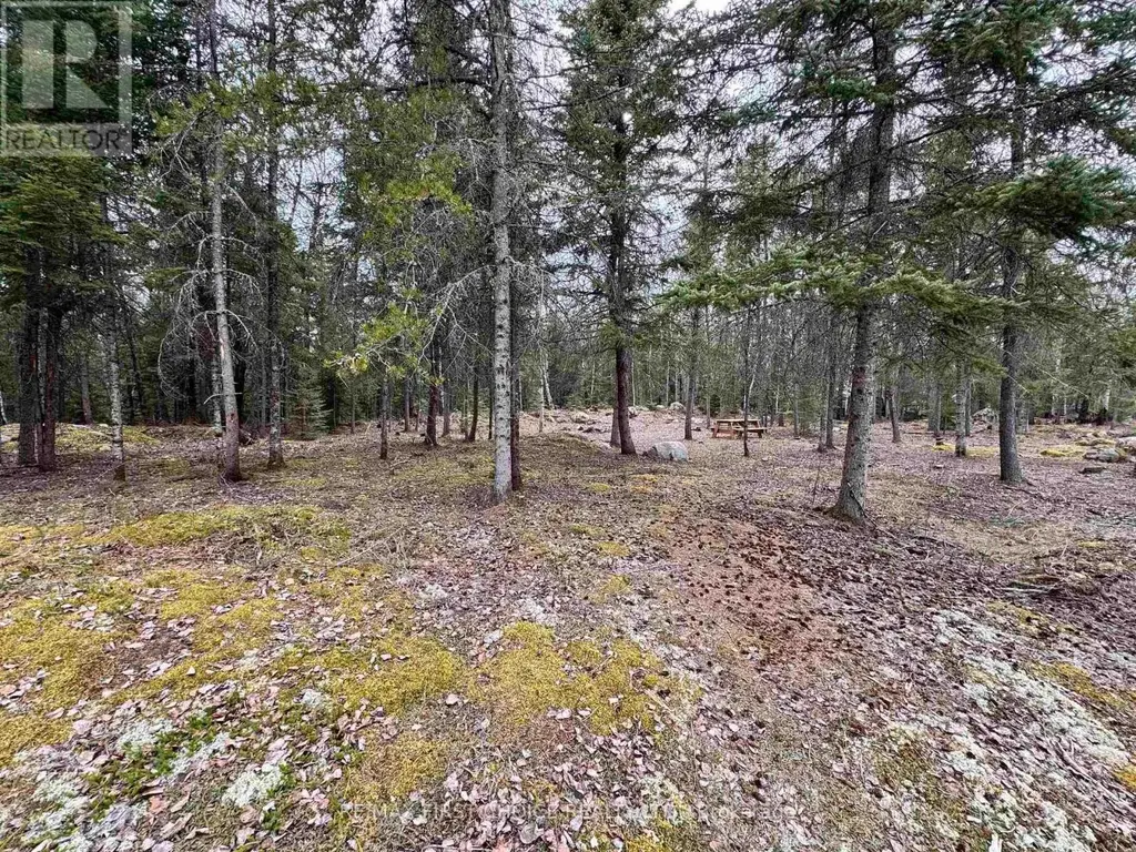 1,2,4,5 Bennett Drive /mcmanus Street, Red Lake (TB-701)