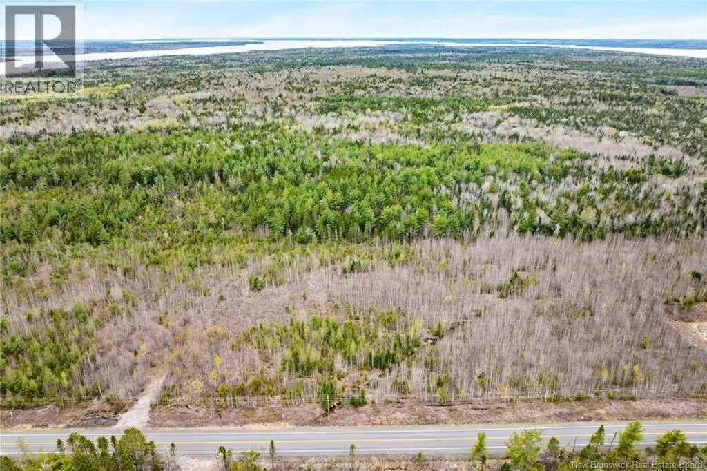 Photo of Listing #NB139631