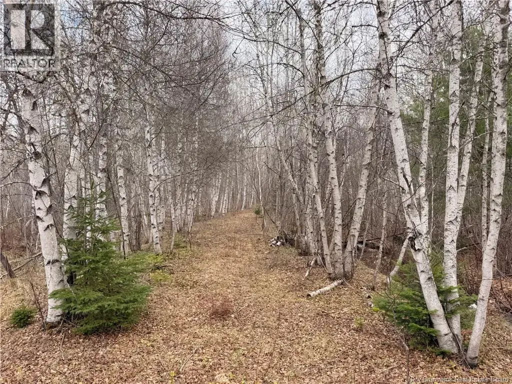 Lots Mclaughlin Road, Pine Ridge