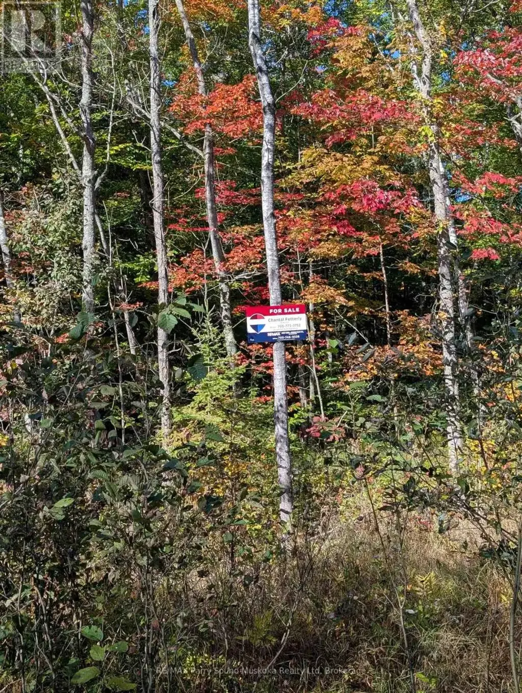 0 Sugar Lake Road, Seguin