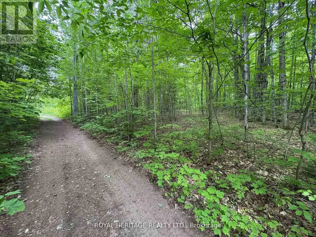 1043 Lawrence Pit Road, Muskoka Lakes (Watt)