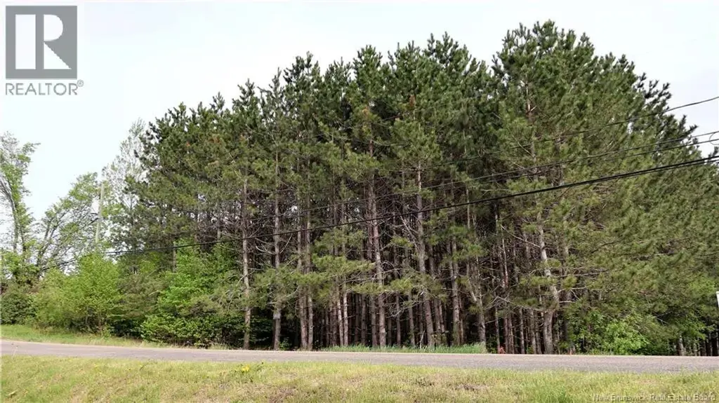 Vacant Lot 74-1a Cape Breton Rd Road, Irishtown