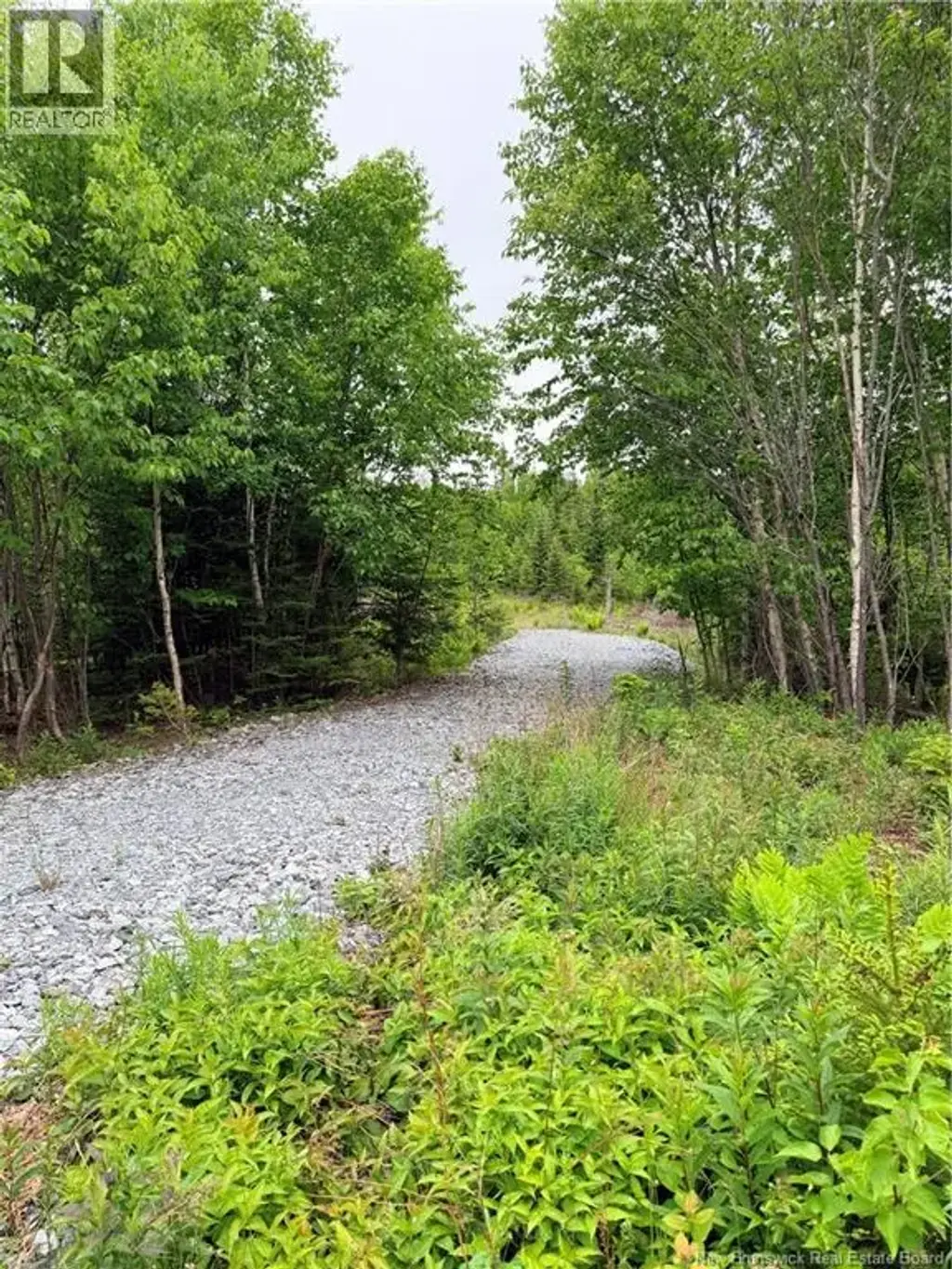 Meadow Cove Road, Musquash