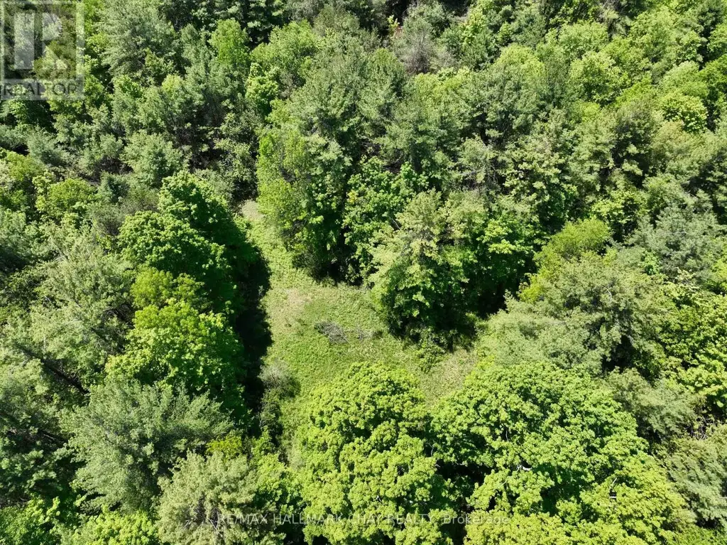1676 Old Second Road S, Springwater