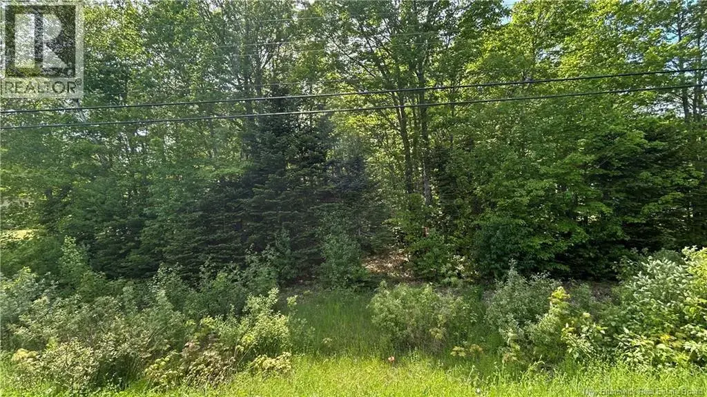 Lot Route 135, Trudel