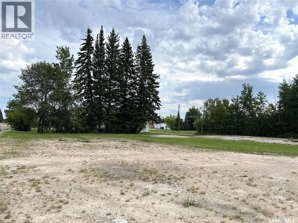 100-103 Main Street E, Dorintosh