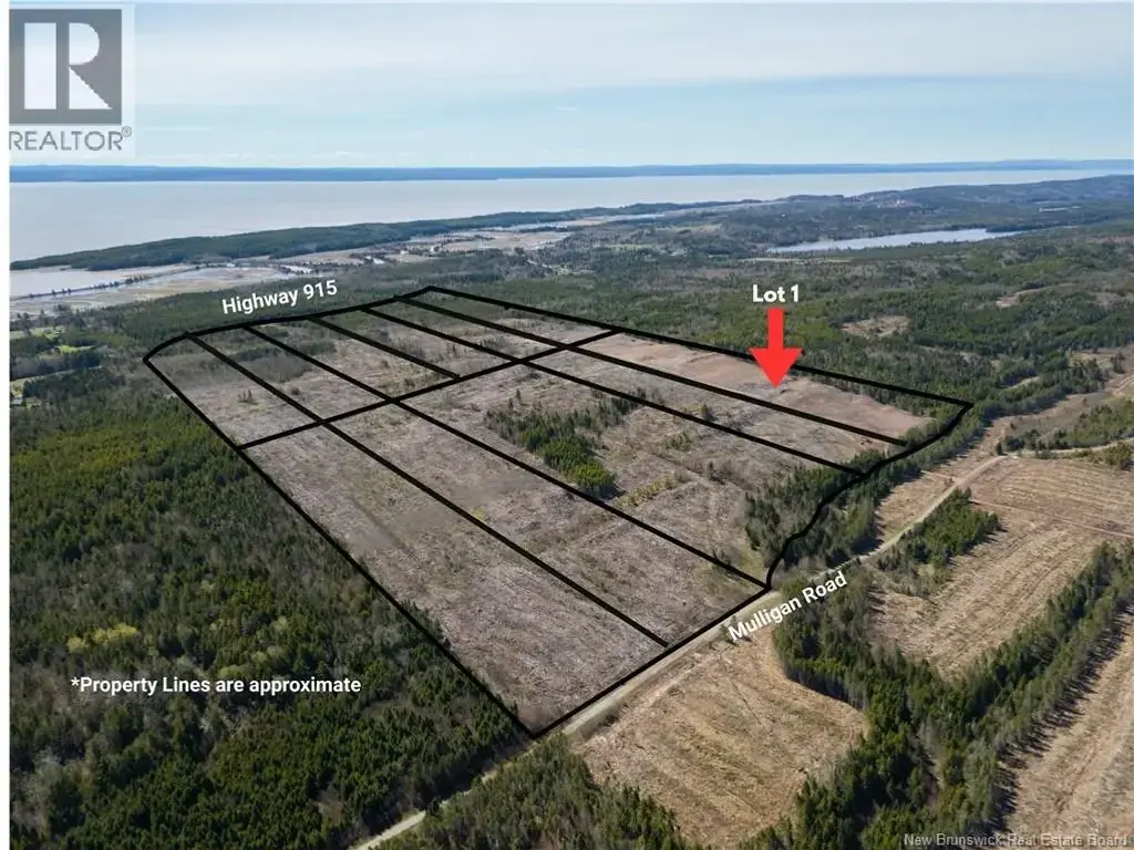 Lot 1 Route 915, Upper New Horton