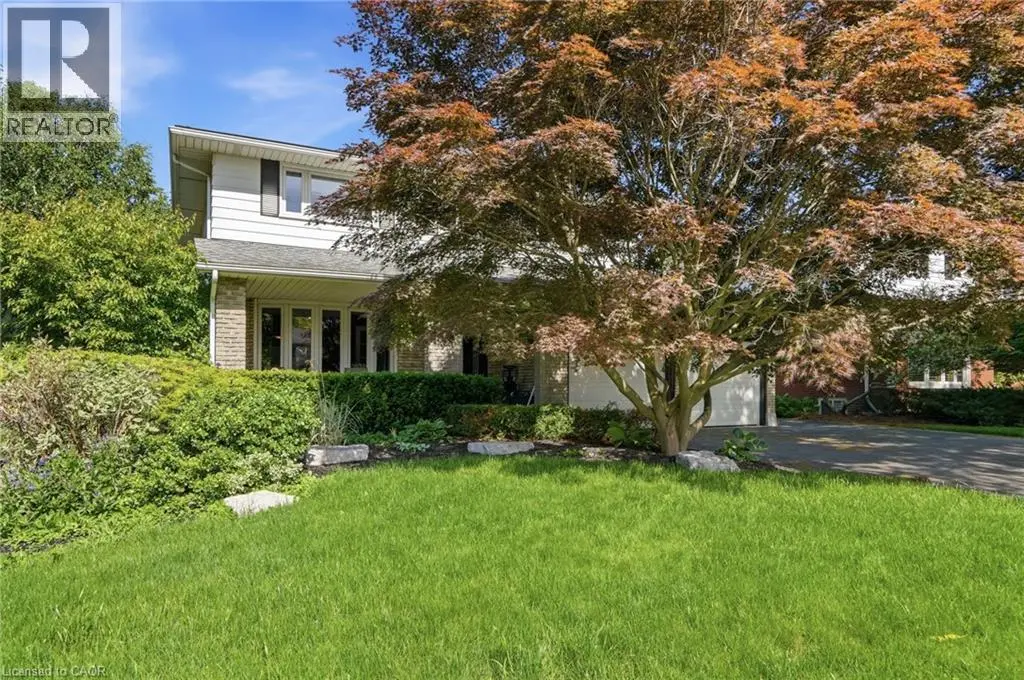 44 San Paulo Drive, Hamilton