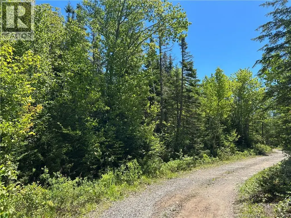 Lot Nelson Lake Road, Grand Bay-Westfield