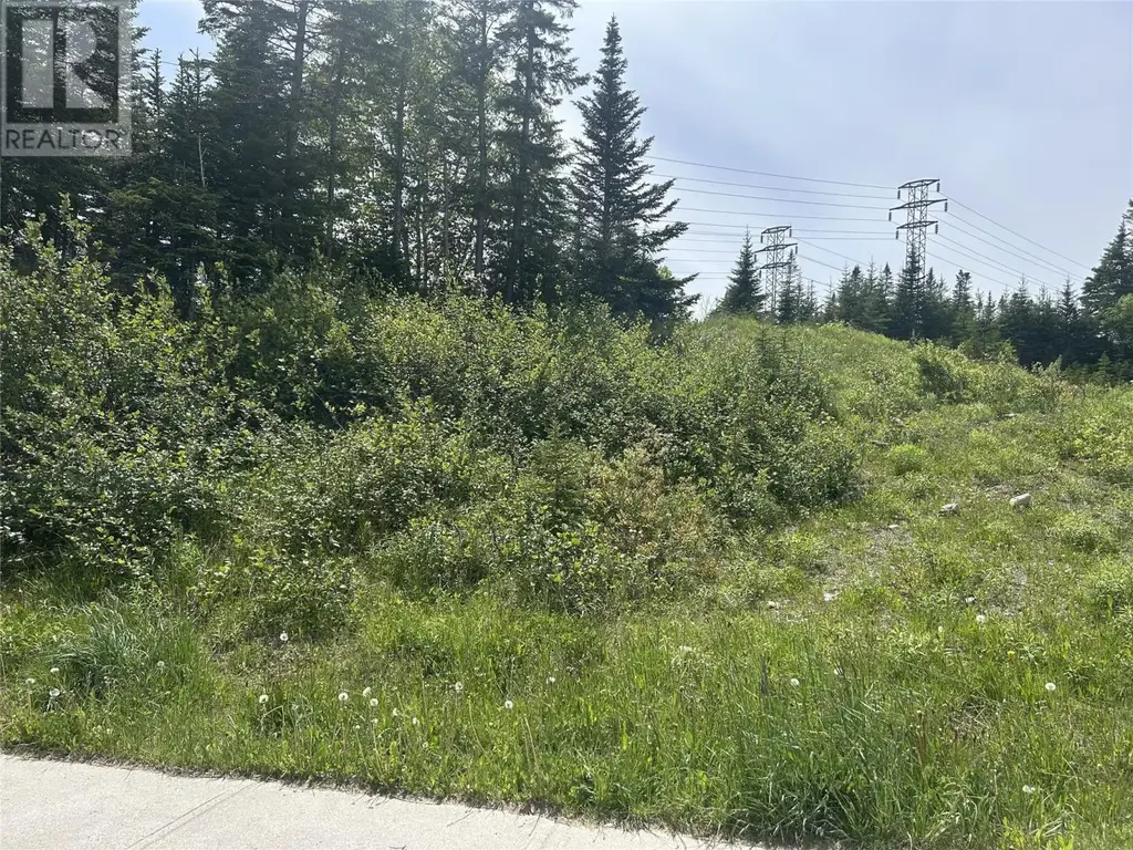 196 Massey Drive, Massey Drive