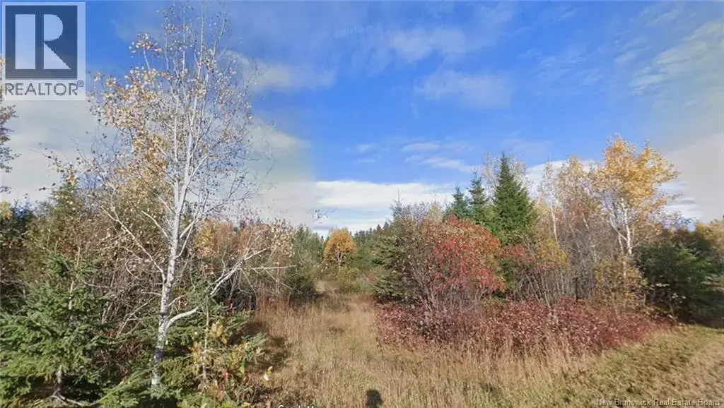 Lot Laurenzo Huard Street, Saint-Jean-Baptiste-De-Restigouche