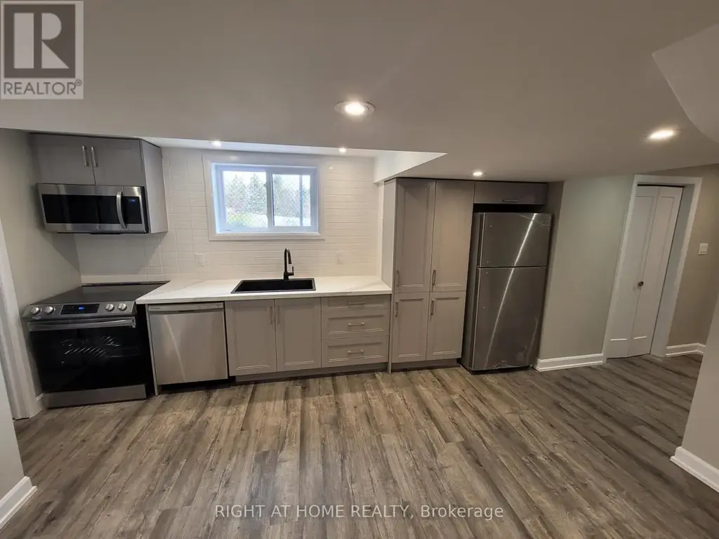 Lower - 205 Cardinal Street, Barrie (Cundles East)