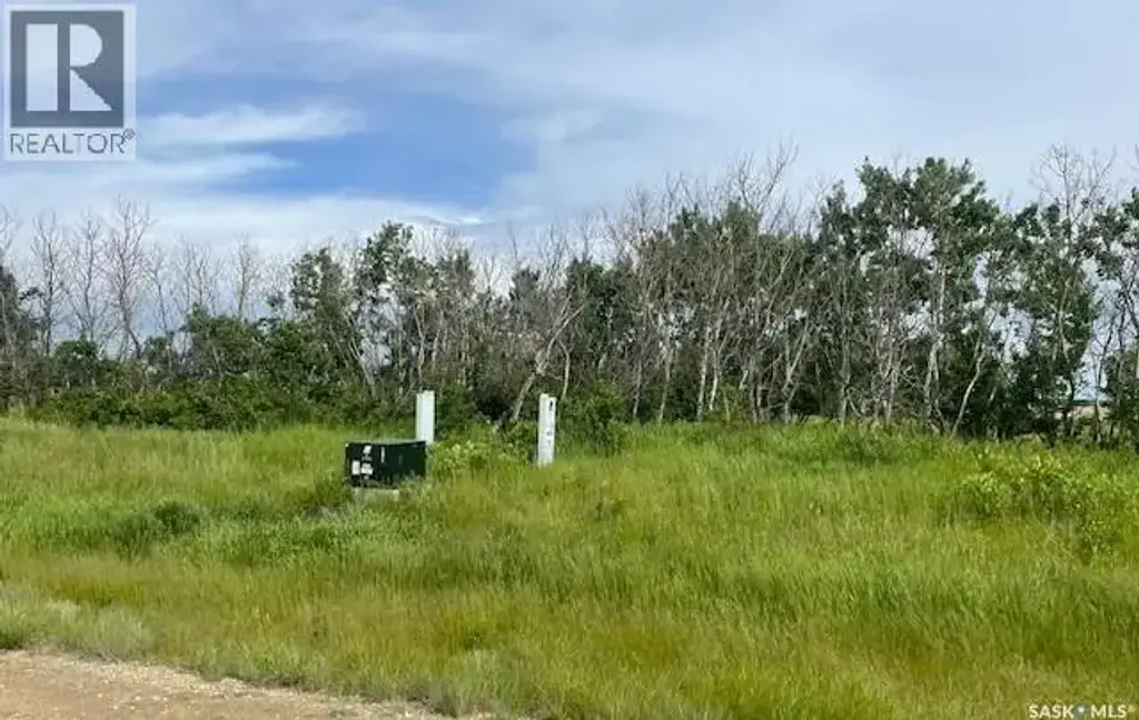 Lot 4 Viceroy Road, North Battleford Rm No. 437