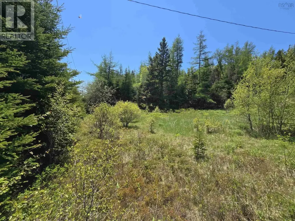 17987 316 Highway, Country Harbour