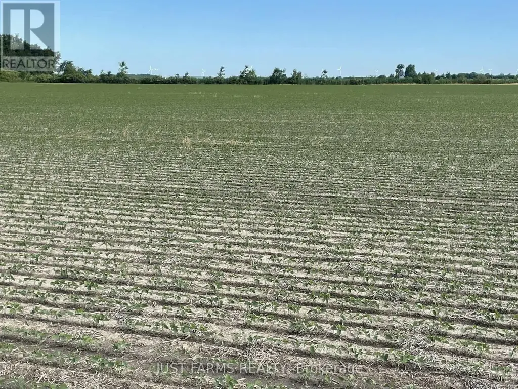 Lt 26&27 Third Concession Line, Chatham-Kent (Romney)