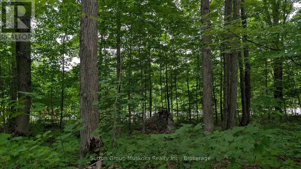 837 Aspdin Road, Huntsville (Chaffey)