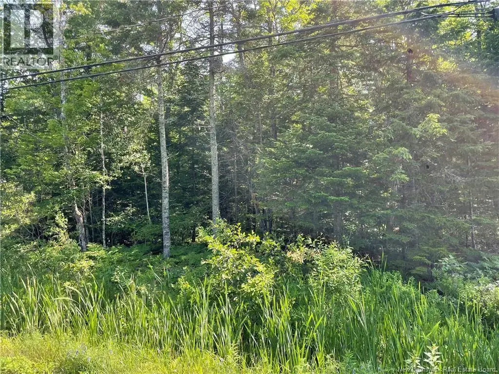 Lot 1 Route 490, McQuade