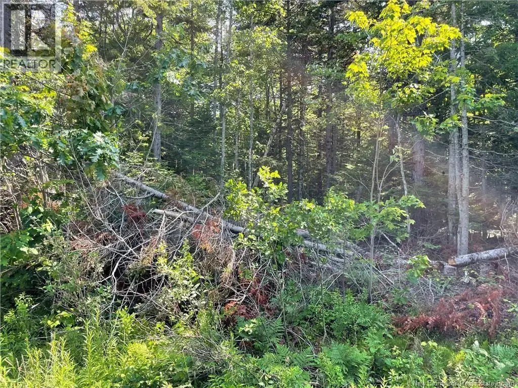 Lot 2 Route 490, McQuade