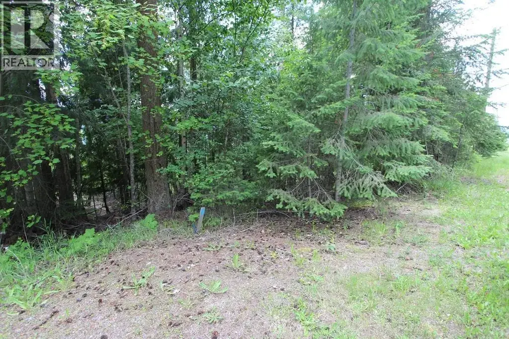Vickers Trail Lot# 1, Anglemont