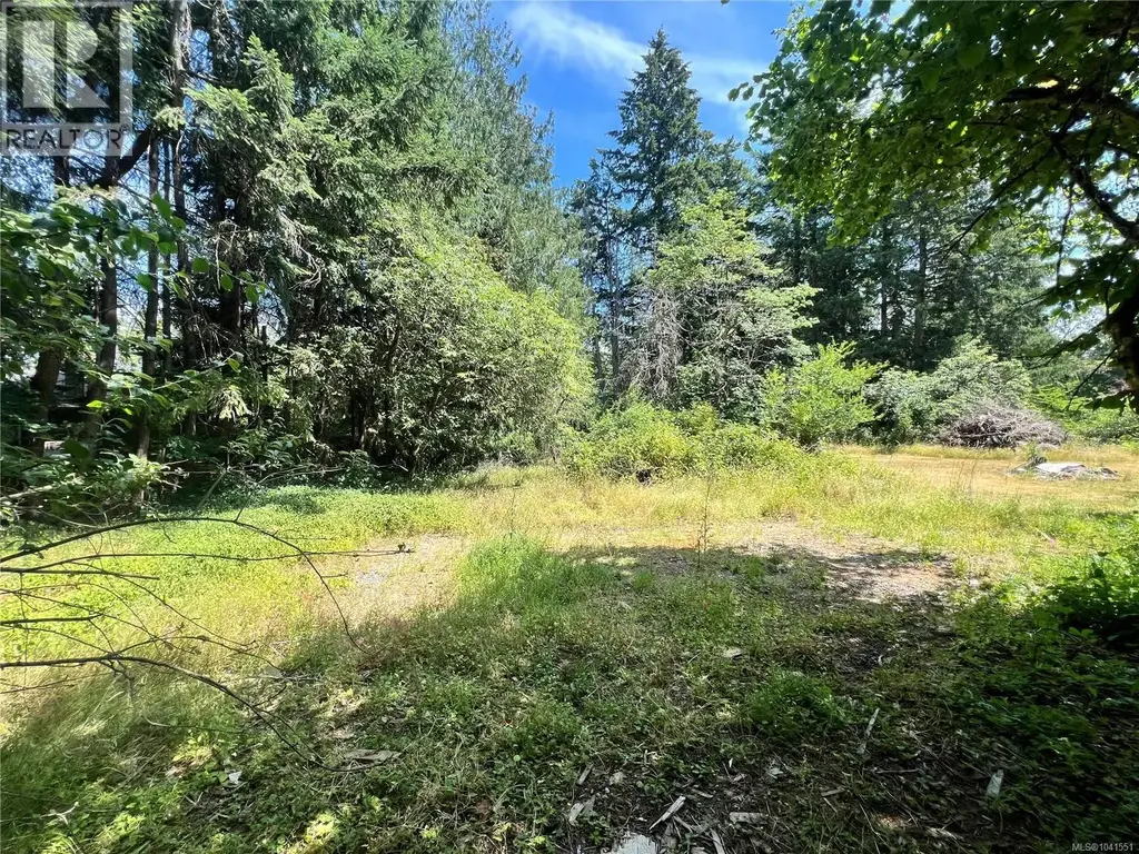Lot B Chemainus Rd, Chemainus