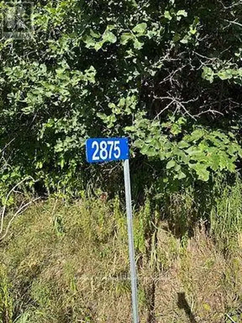 2875 County Road 21 Road, Minden Hills (Minden)