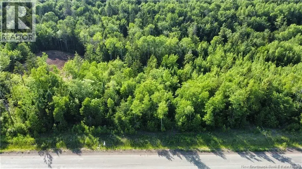 Lot 21-39 Orchard Avenue, Irishtown