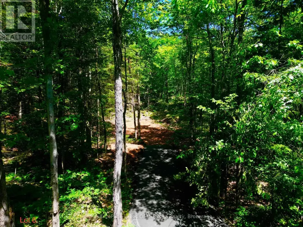 Lot 6 Fairy Falls Road, Lake of Bays (Mclean)