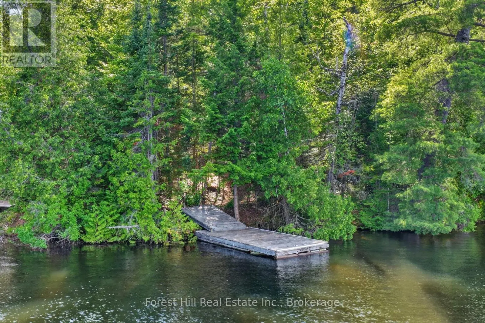 0 Alice Drive, Algonquin Highlands (Livingstone)