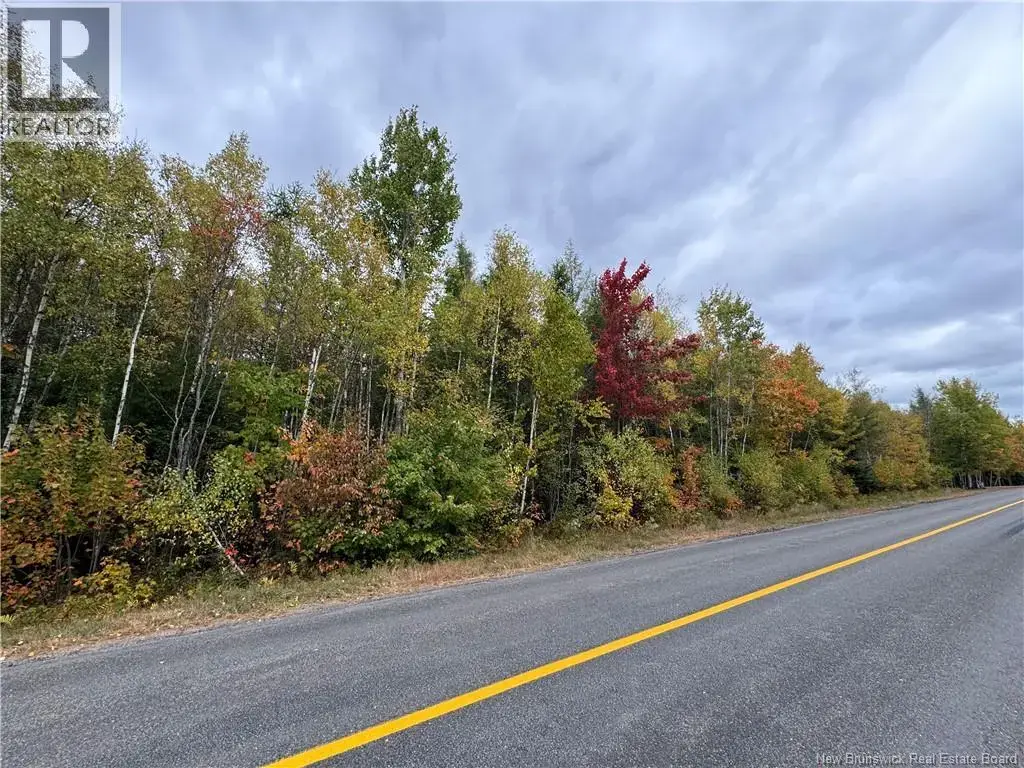 Blueberry Lane, Codys