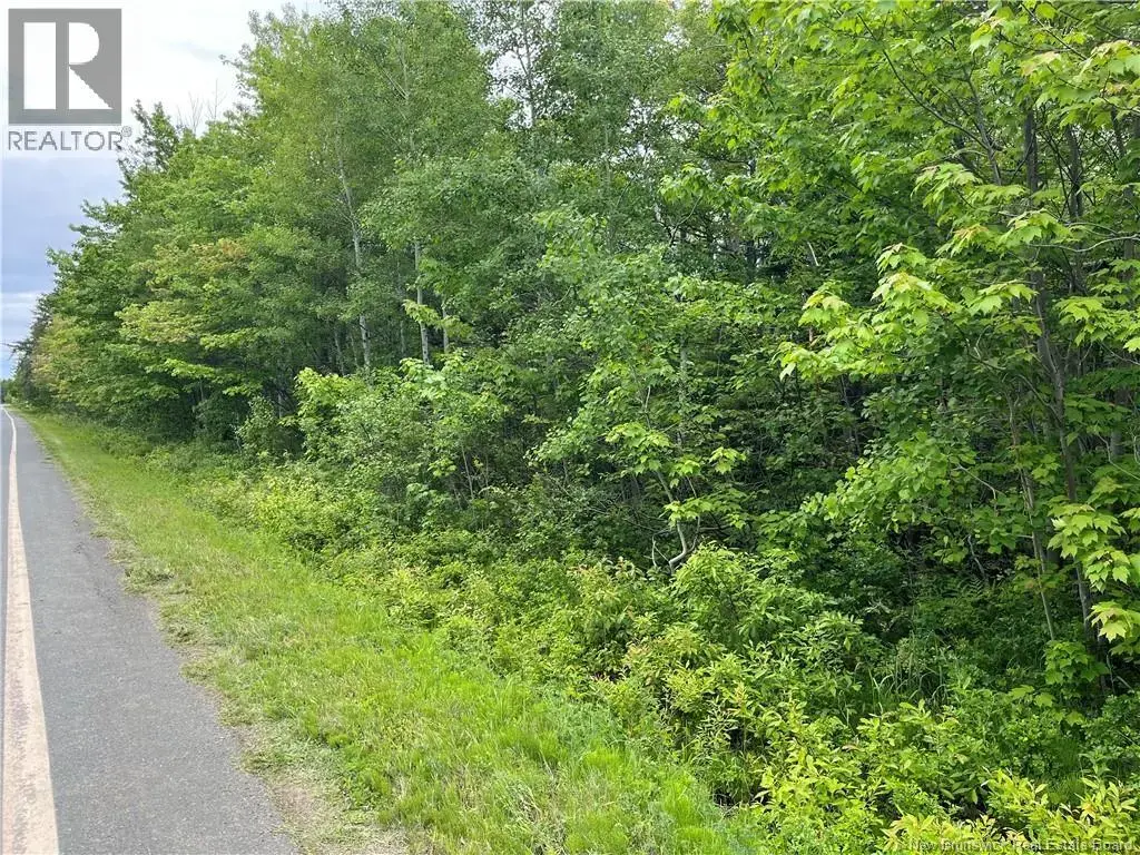00 Rte 303, Village-Des-Poirier
