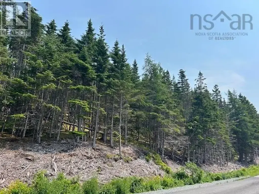 Soldiers Cove Road, Lewis Cove Road