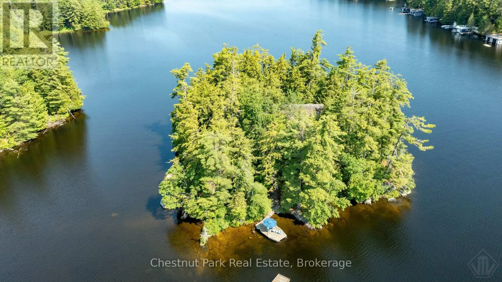 1 Merlin (island M91) Island, Muskoka Lakes (Wood (Muskoka Lakes))
