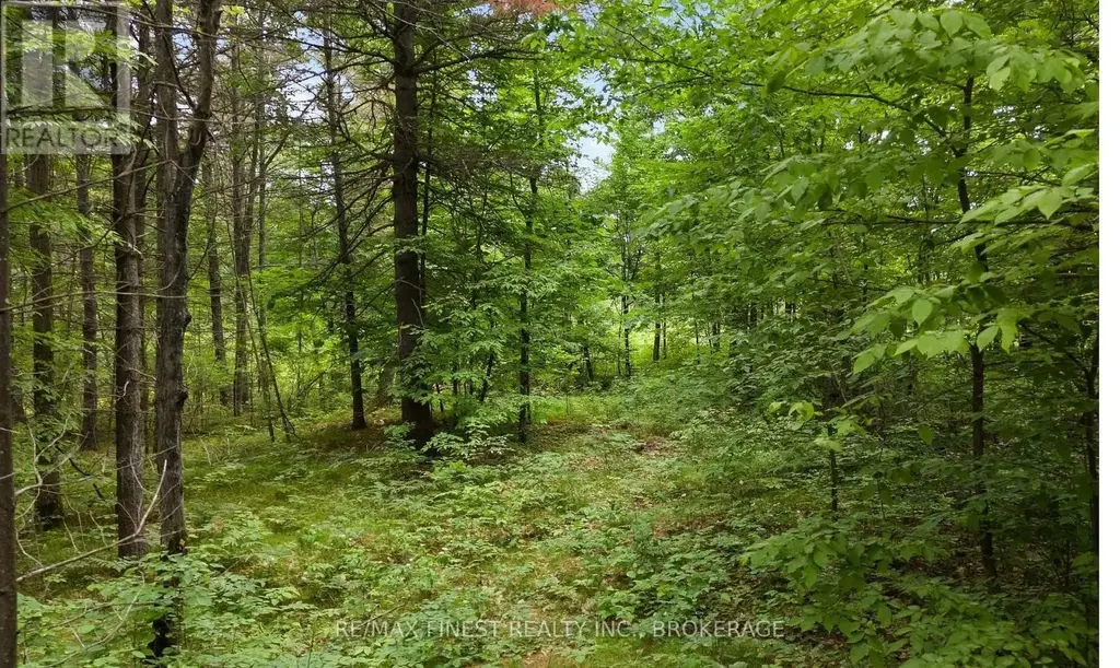 Lot 16 Echo Lake Road, Frontenac (Frontenac Centre)