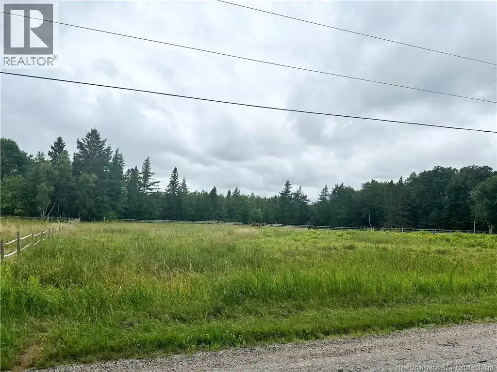 Collina Road, Studholm