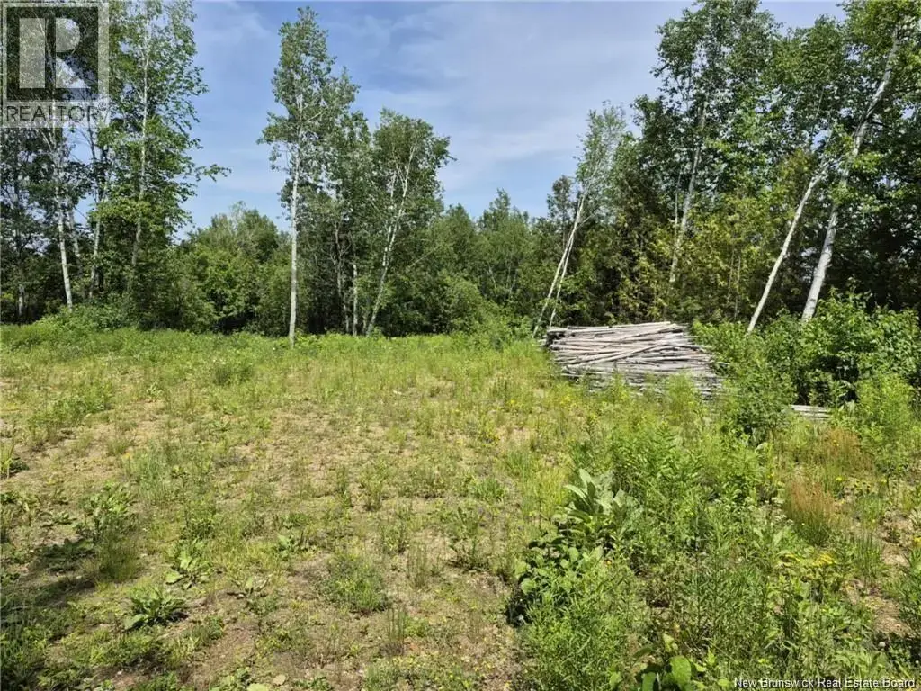 1 Acres Rue Amos, Sainte-Anne
