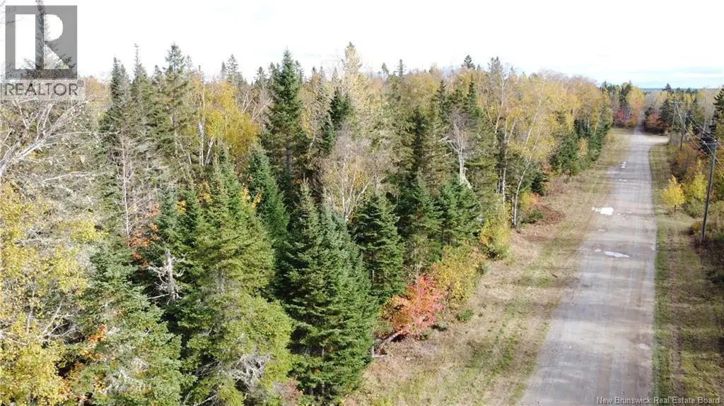 Photo of Listing #NB144481