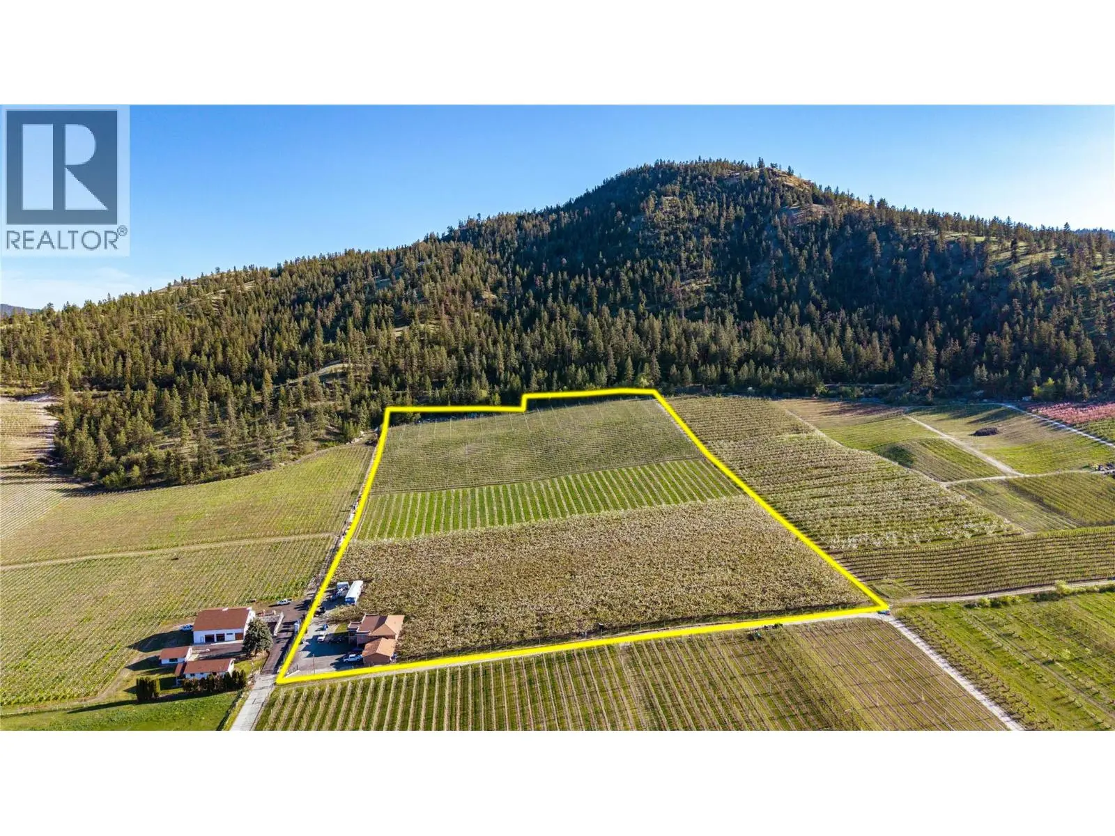 Photo of Listing #10390485