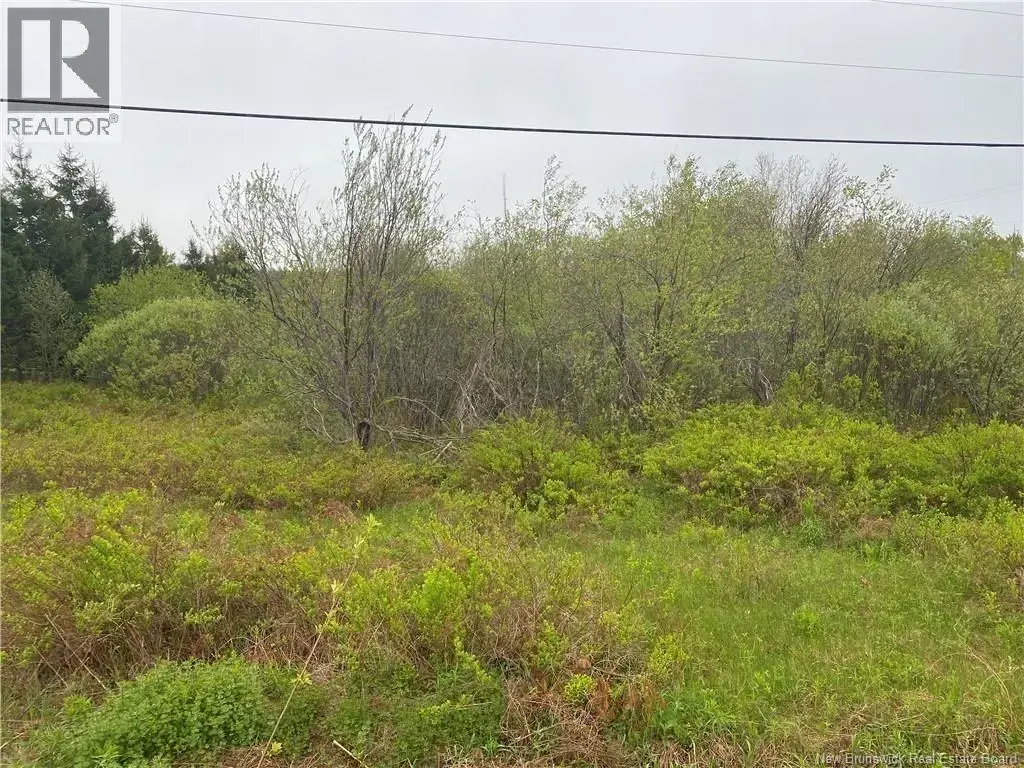 Lot Will Rogers Road, Moncton
