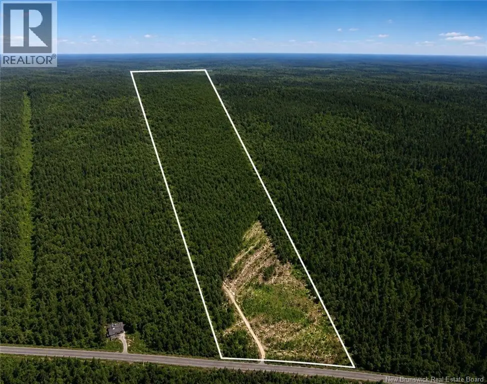 Photo of Listing #NB143945