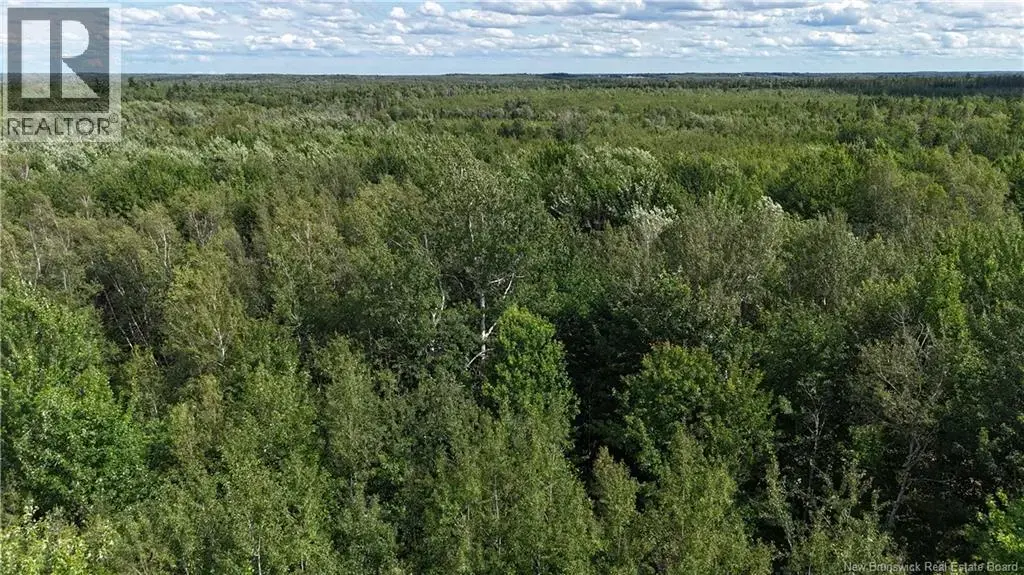 Lot 21-2 St-augustin, Adamsville