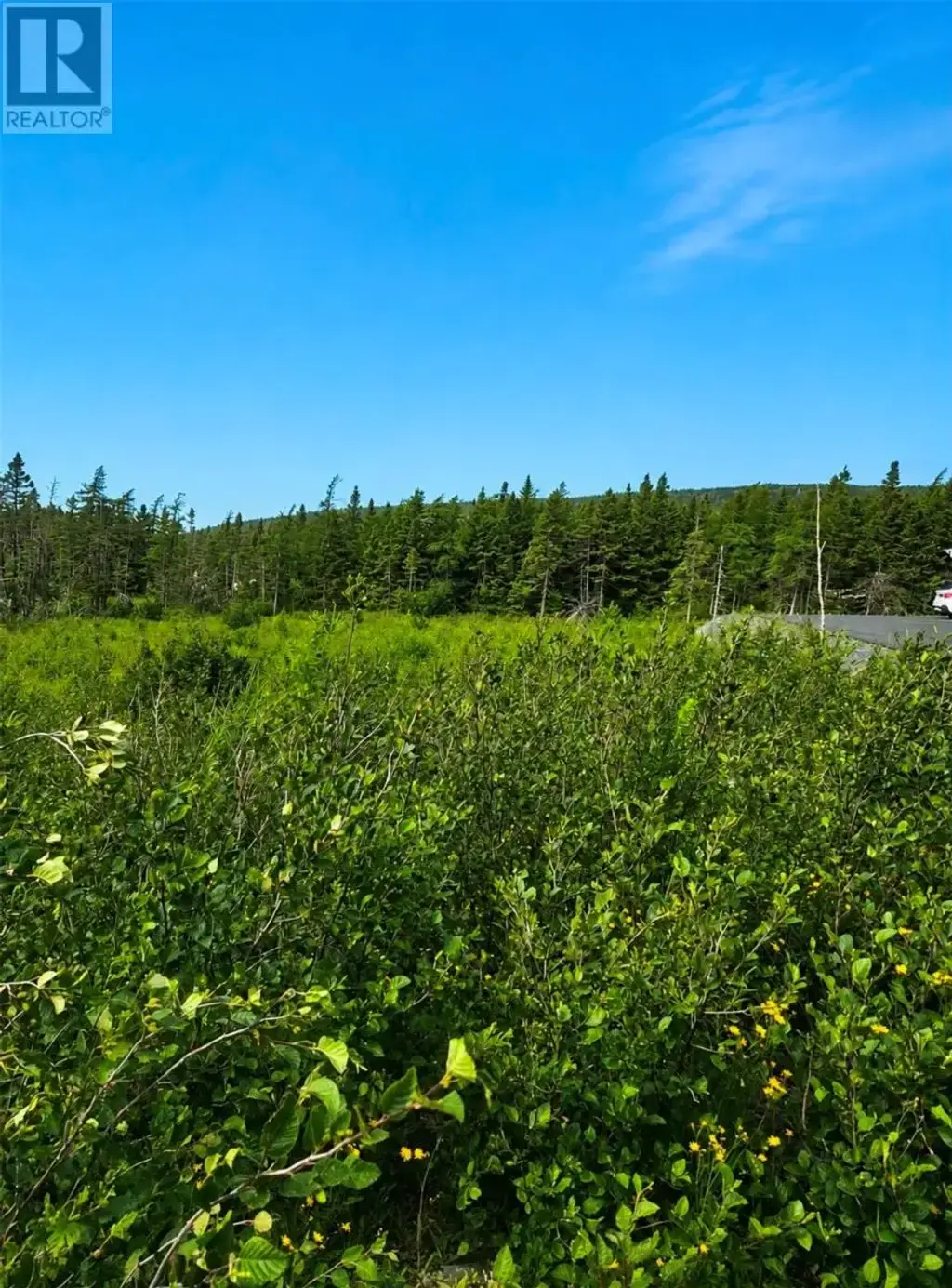 168 Hodgewater Line, South River
