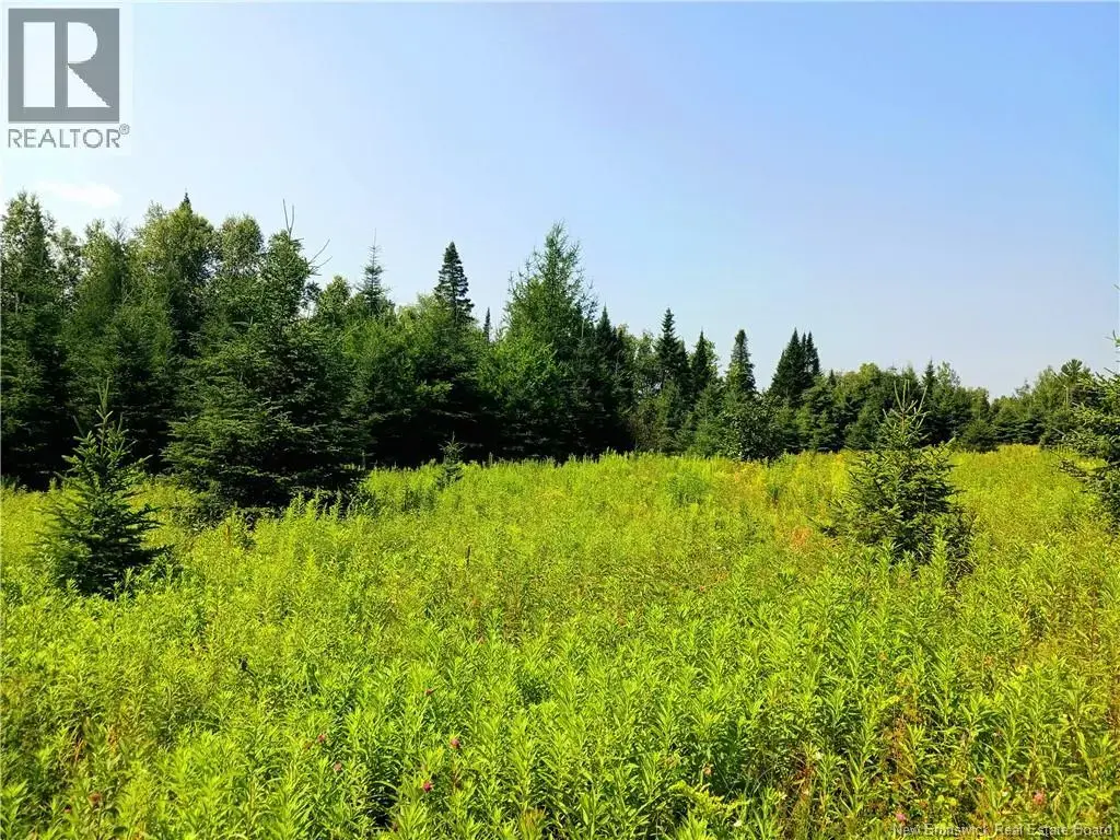 1496 Route 390, Gladwyn