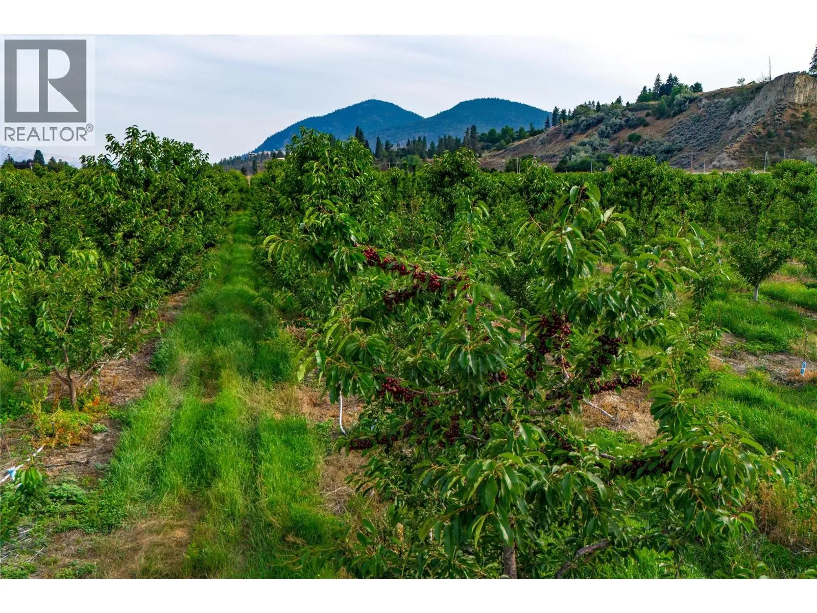 4500 Landry Crescent. Summerland, British Columbia