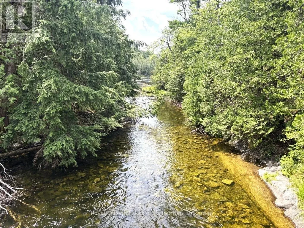 Beside 1456 Crystal Lake Road, Trent Lakes