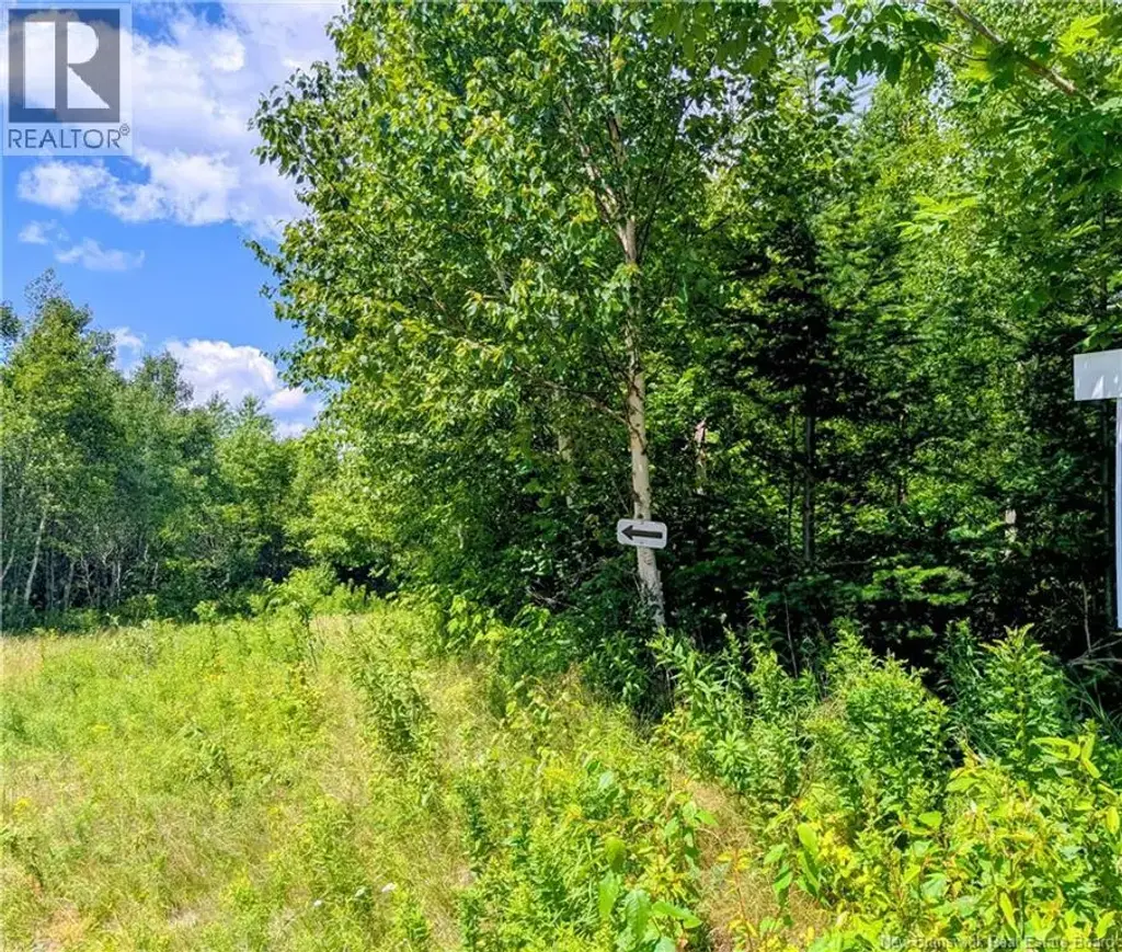 Lot 8 Golden Ridge Road, East Knowlesville