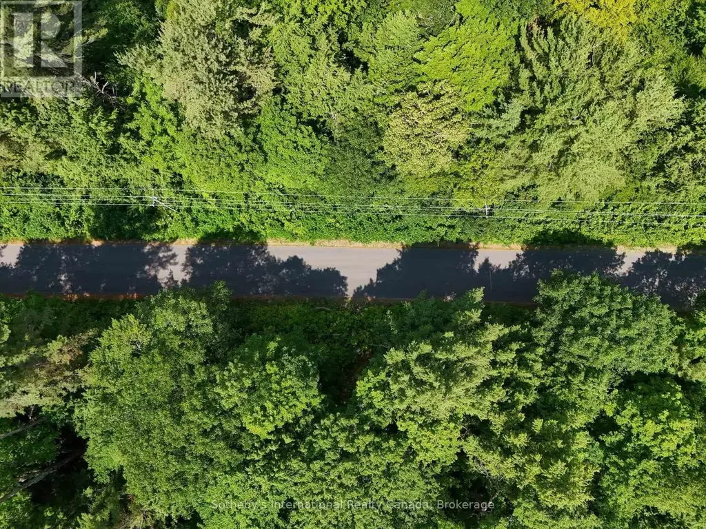 1098 Old Hwy 117, Lake of Bays (Ridout)