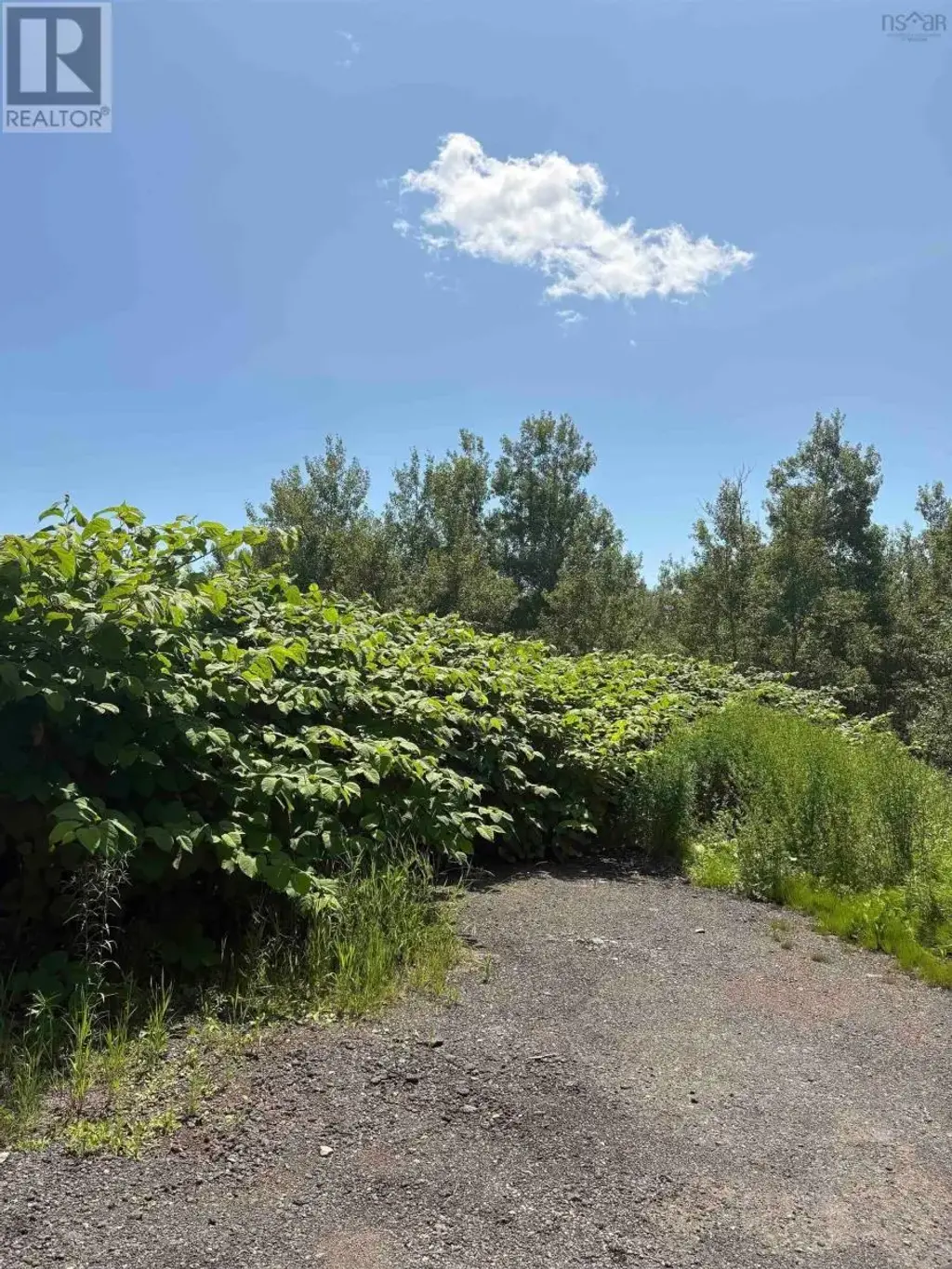 0 Lorway Avenue, Reserve Mines