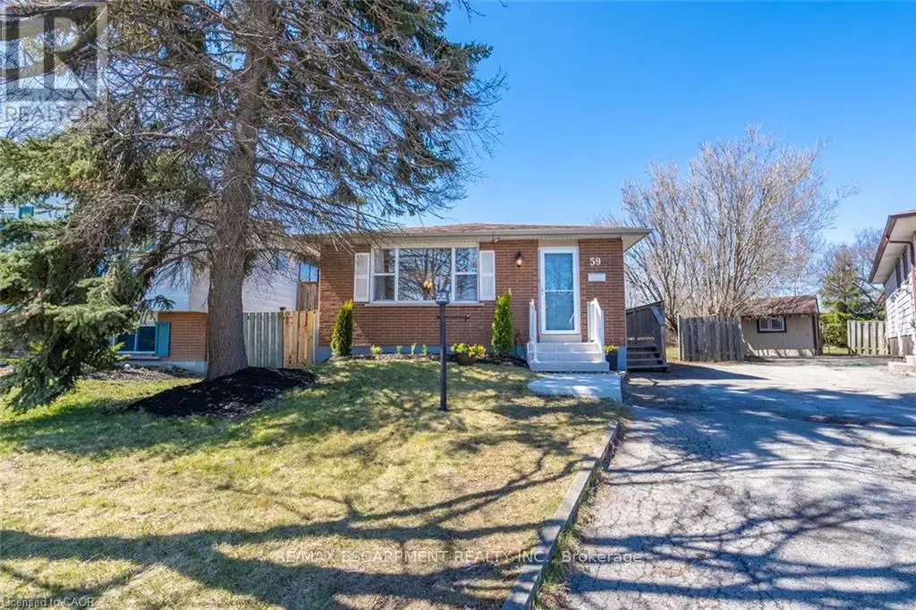Lower - 59 Edwina Court, Hamilton (Lawfield)