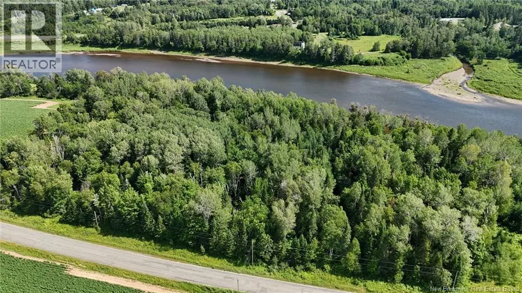 Photo of Listing #NB145416