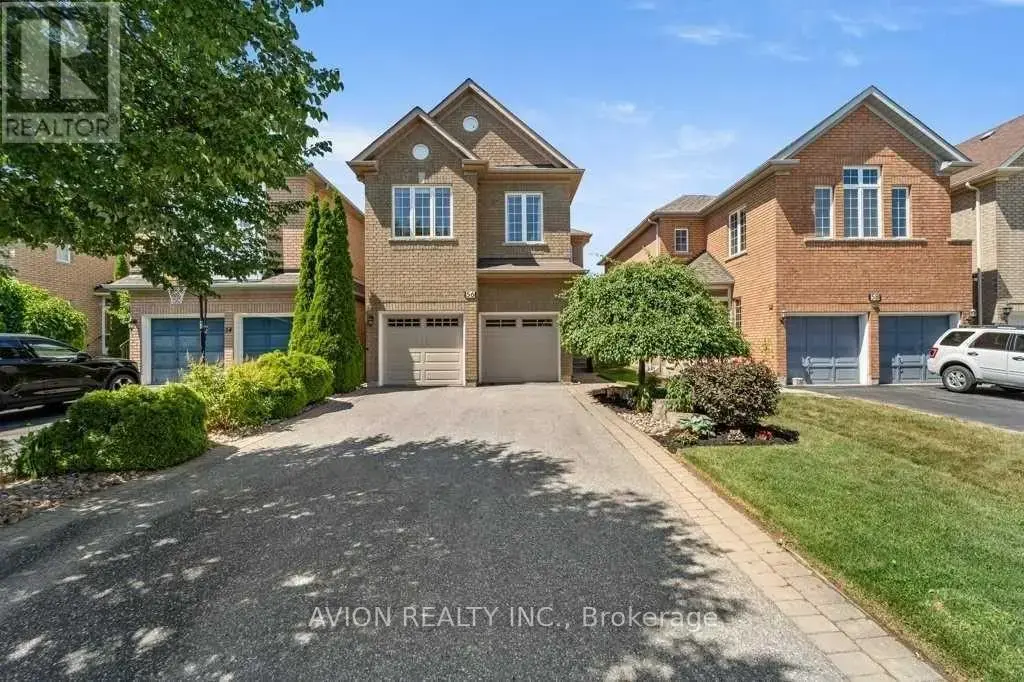 Bsmt - 56 Golden Oak Avenue, Richmond Hill (Rouge Woods)
